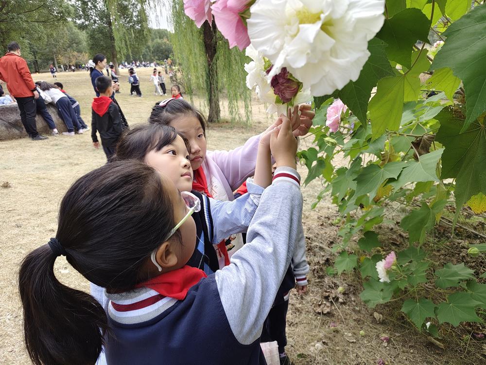 a4b5f4408a5e4b96a7a16281ebefd45a.jpg a4b5f4408a5e4b96a7a16281ebefd45a.jpg